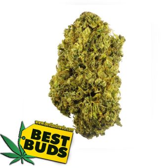 Durban Poison